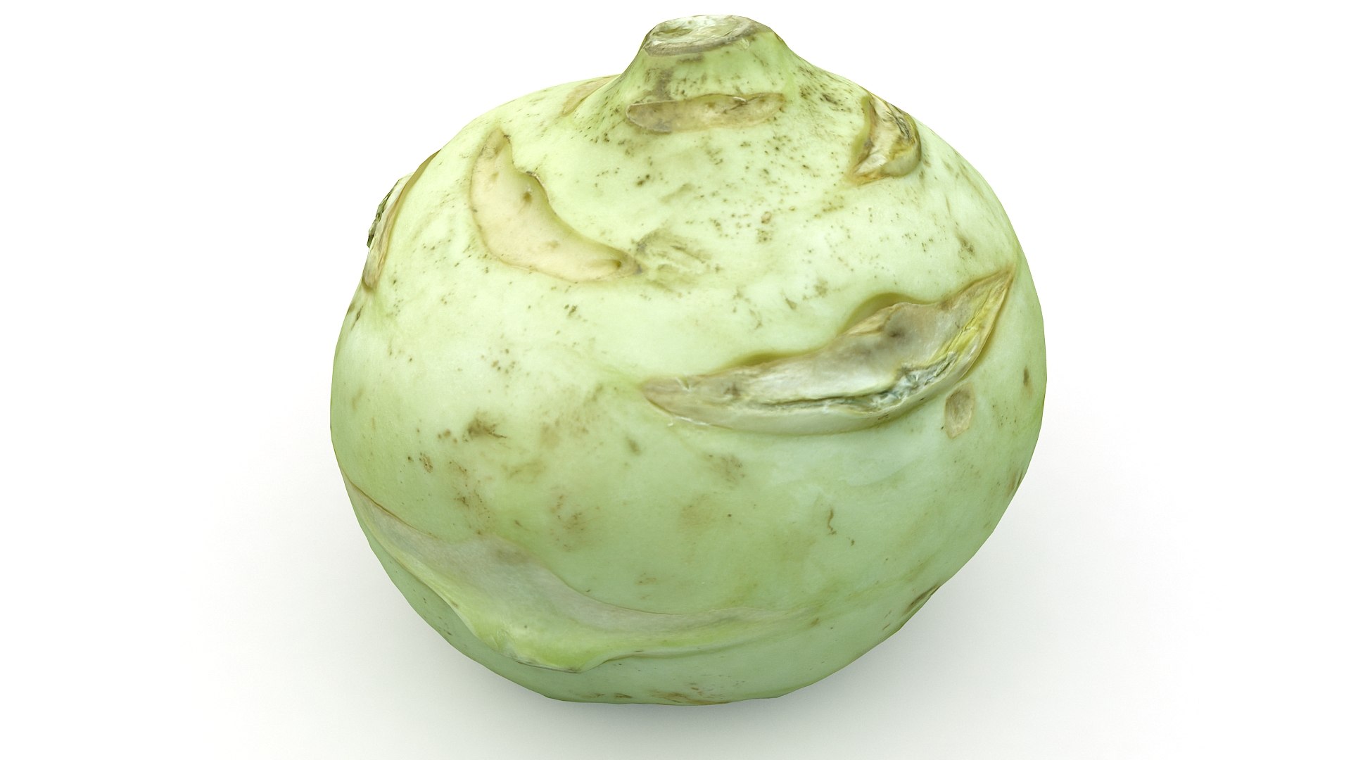 Realistic Cabbage 3D Model - TurboSquid 1467258