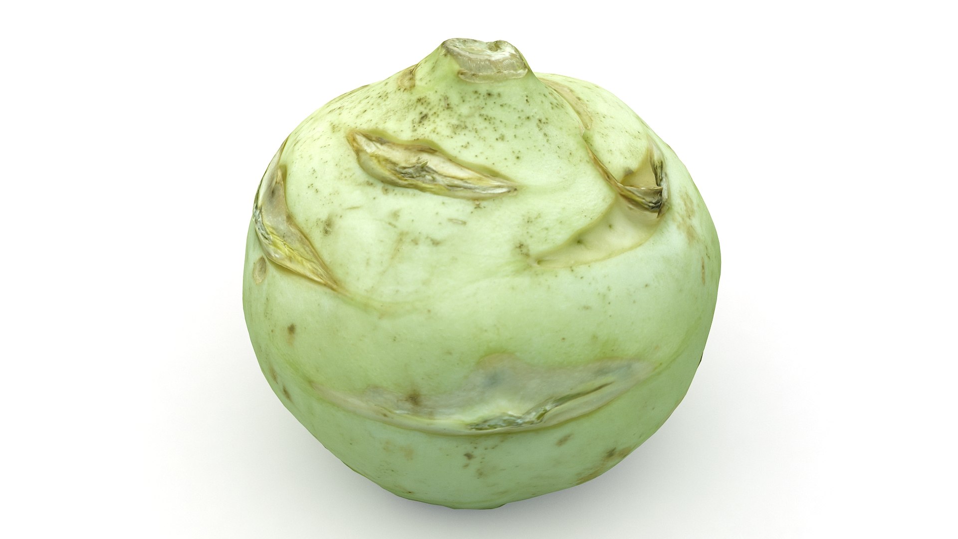 Realistic Cabbage 3D Model - TurboSquid 1467258