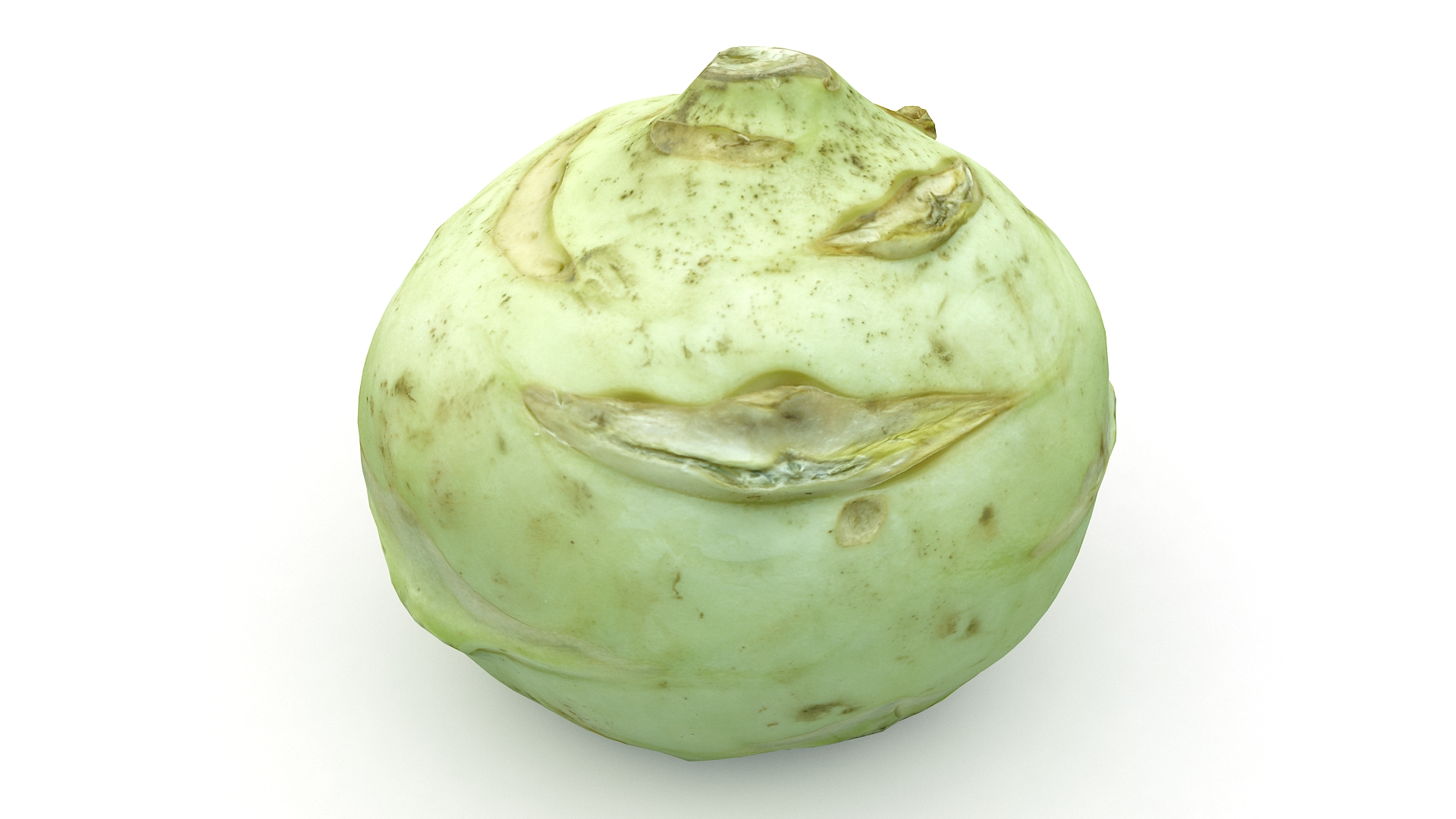 Realistic Cabbage 3D Model - TurboSquid 1467258