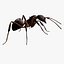 red Ant Bug 3D