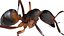 red Ant Bug 3D
