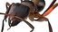 red Ant Bug 3D