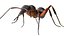 red Ant Bug 3D
