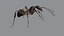 red Ant Bug 3D 3D model