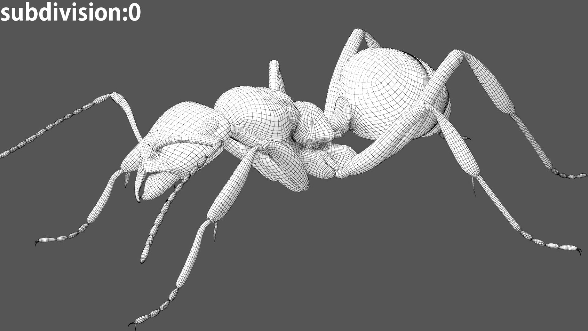 red Ant Bug 3D 3D model https://p.turbosquid.com/ts-thumb/N0/2mrPcq/YC/30/jpg/1751000487/1920x1080/fit_q87/44d3f480eb43283655e183e7ed21fd6359044dd3/30.jpg