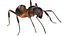 red Ant Bug 3D