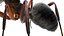 red Ant Bug 3D