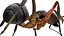 red Ant Bug 3D