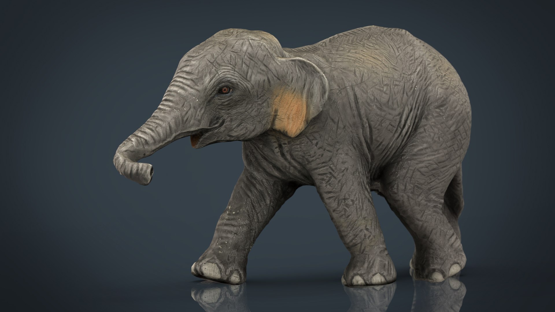 asian elephant babe max https://p.turbosquid.com/ts-thumb/N0/7Rvpki/9sGyKRQM/asianelephantbabe/jpg/1486028769/1920x1080/fit_q87/7df9feb8b1b7900735260bd66af27c965fc68307/asianelephantbabe.jpg