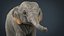 Elefante asiático nena