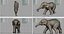 Elefante asiático nena