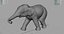 Elefante asiático nena