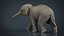 Elefante asiático nena