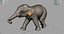 Elefante asiático nena