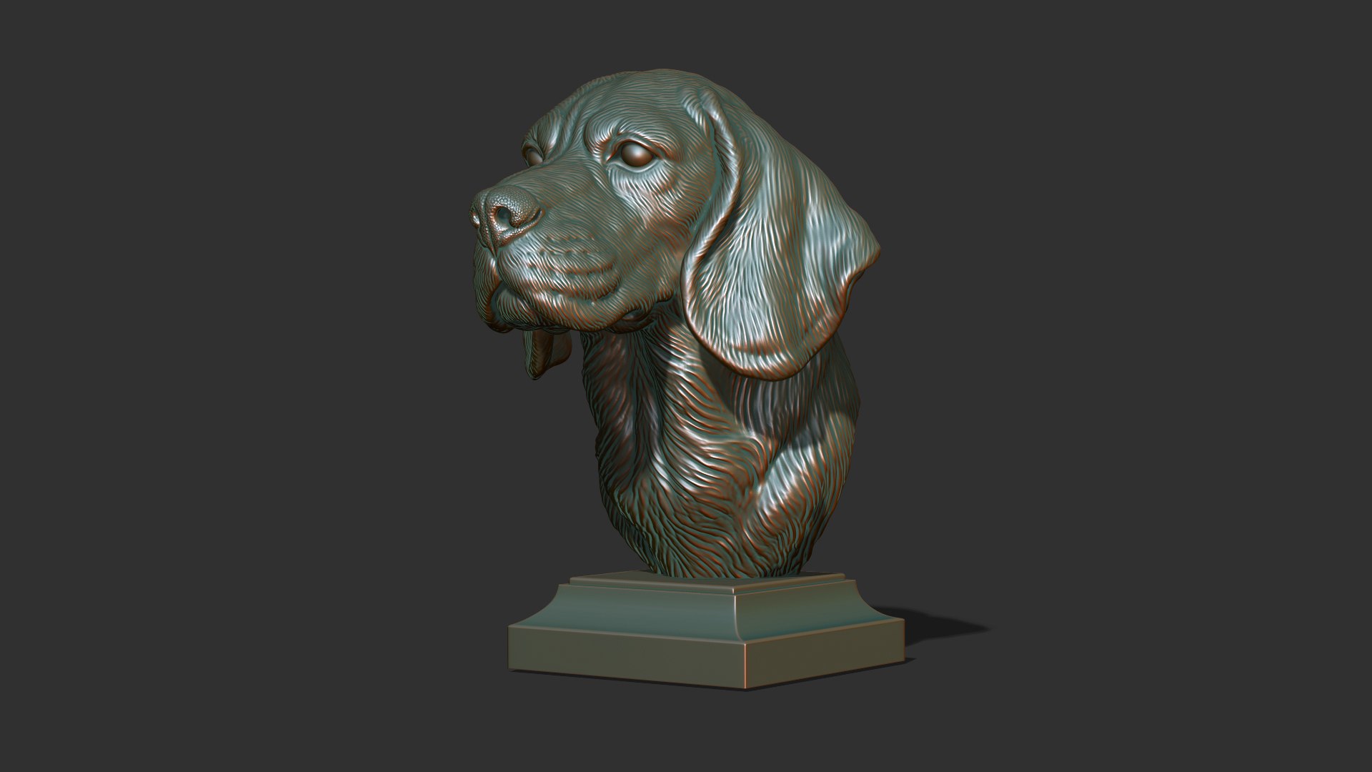 Beagle Dog Bust 3D Model - TurboSquid 2239446