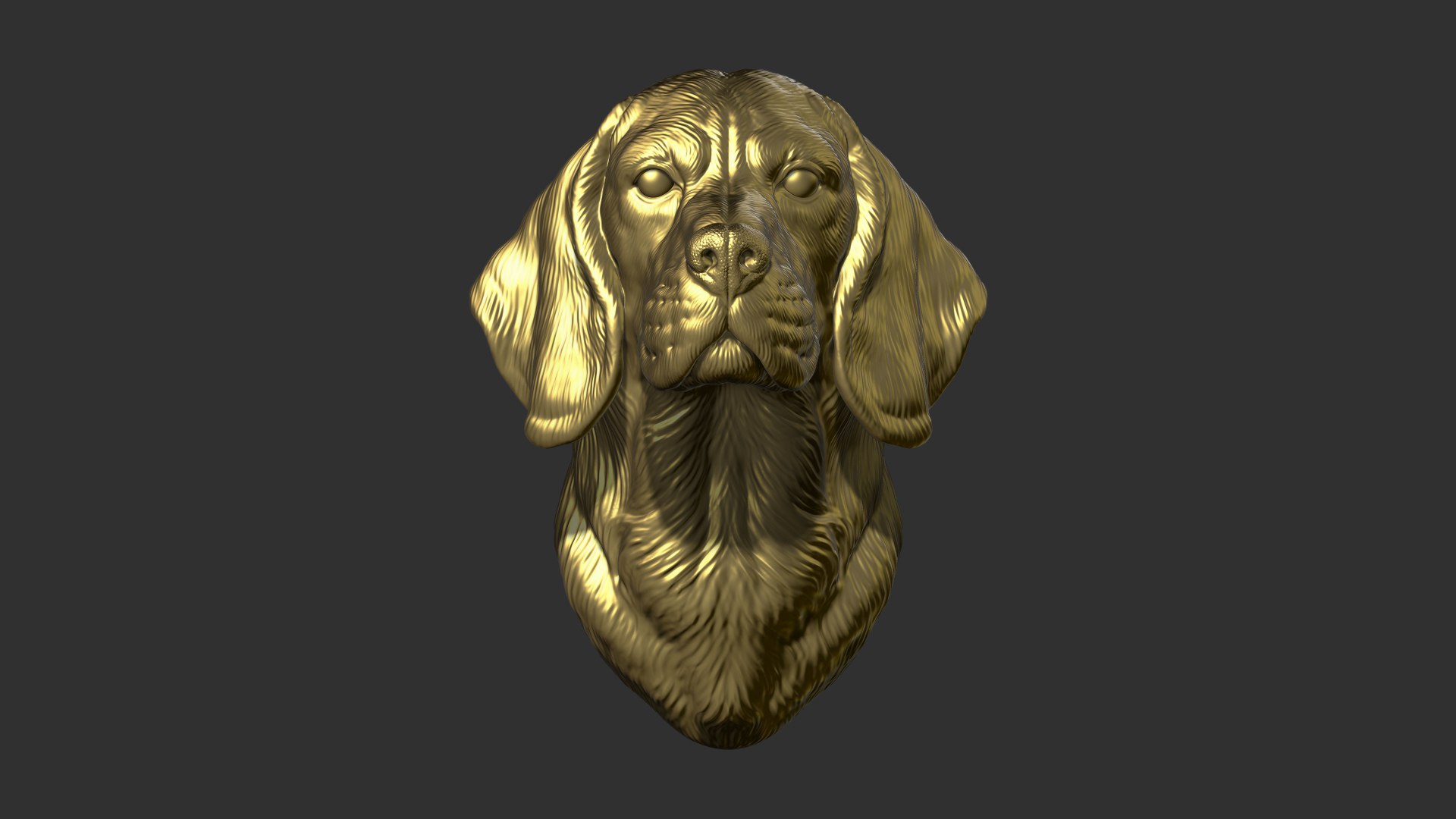 Beagle Dog Bust 3D Model - TurboSquid 2239446