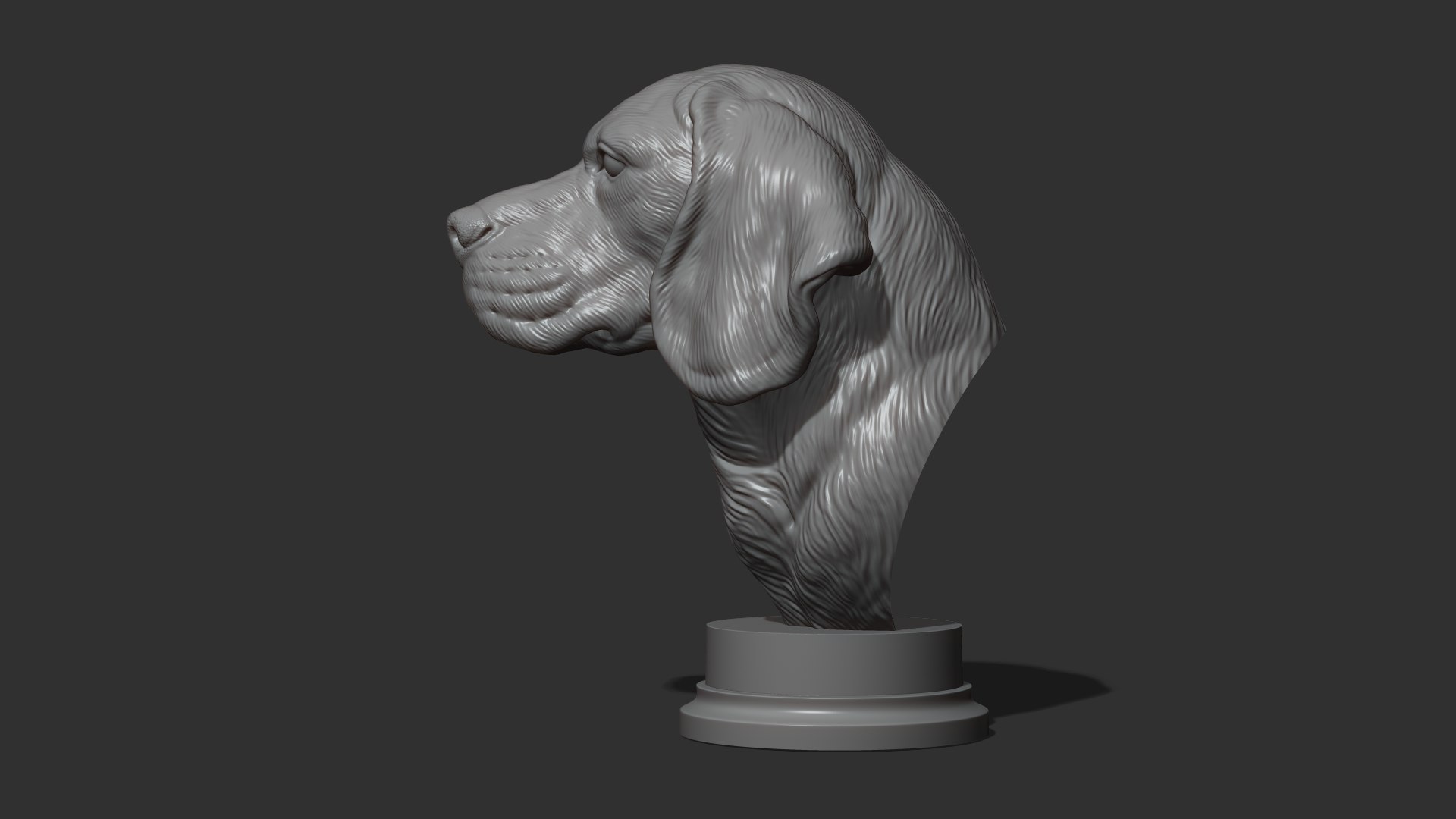 Beagle Dog Bust 3D Model - TurboSquid 2239446