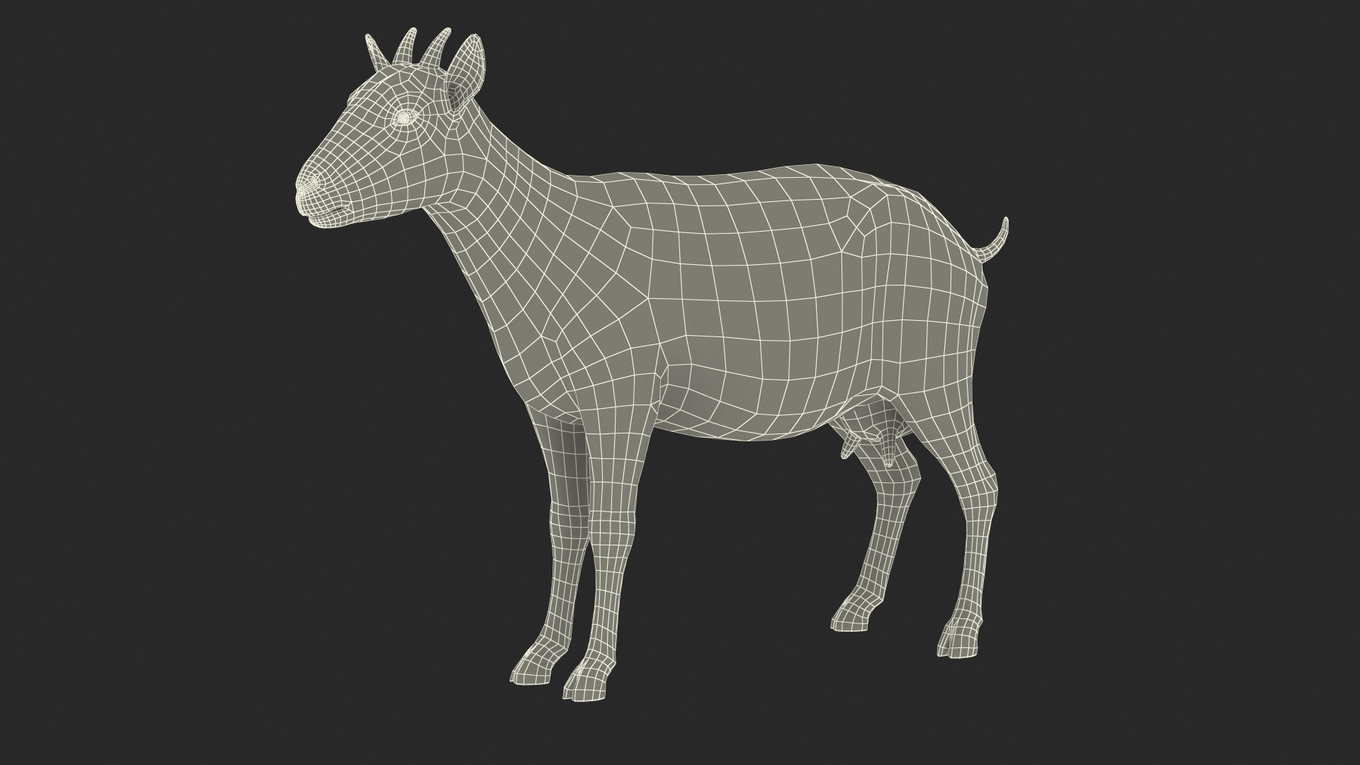 3D model Goat Saanen Breed Rigged for Modo https://p.turbosquid.com/ts-thumb/N0/DyjtUk/DL/goat_saanen_breed_rigged_for_modo_361/jpg/1672276274/1920x1080/turn_fit_q99/2579e40157c3ad9f85e9fc0e3c05500a1145b567/goat_saanen_breed_rigged_for_modo_361-1.jpg