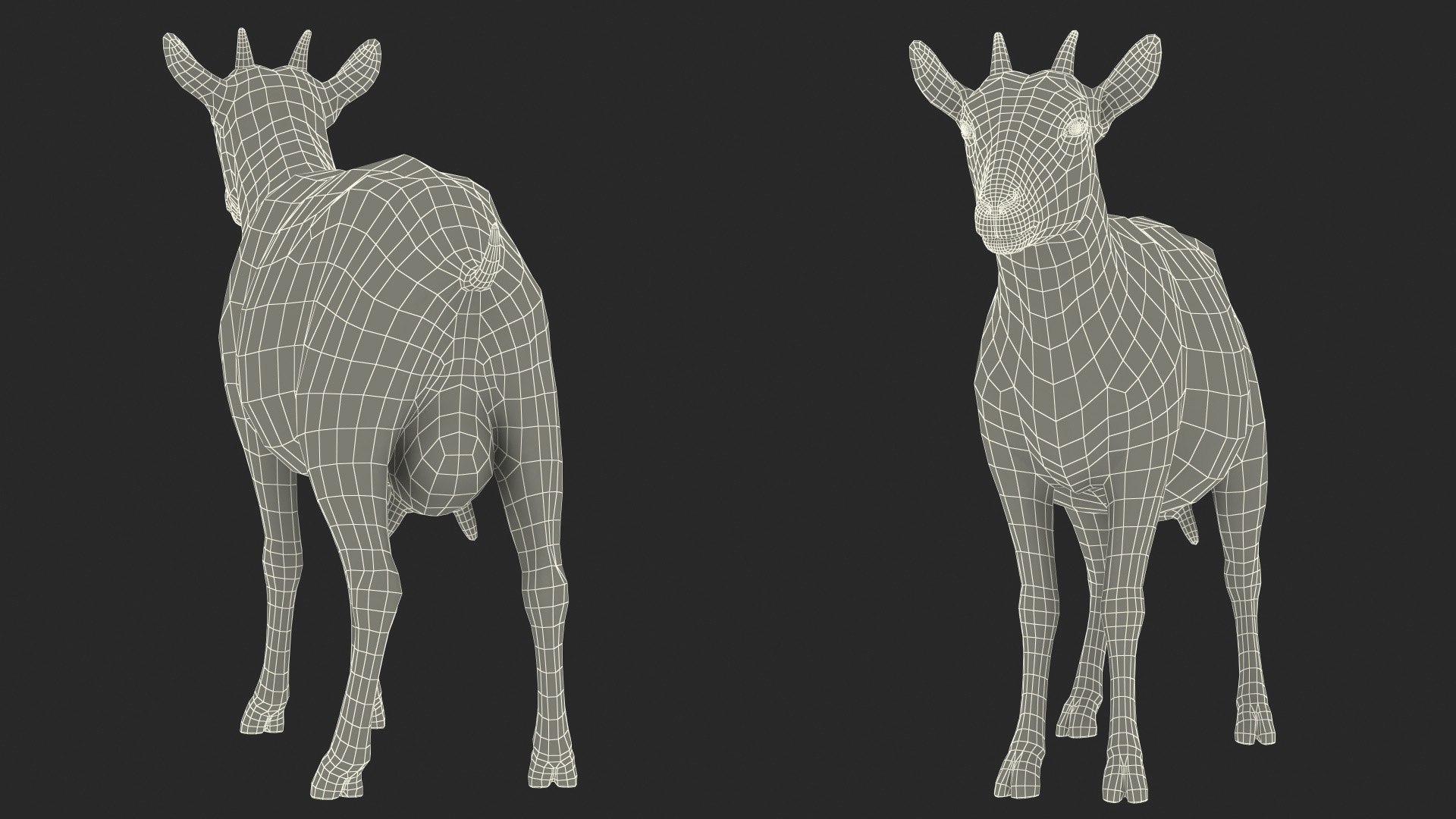 3D model Goat Saanen Breed Rigged for Modo https://p.turbosquid.com/ts-thumb/N0/DyjtUk/NS/goatsaanenbreedriggedformodovray3dmodel023/jpg/1672276669/1920x1080/fit_q87/0e1cea691e0a91140990eca349af084fe780365e/goatsaanenbreedriggedformodovray3dmodel023.jpg