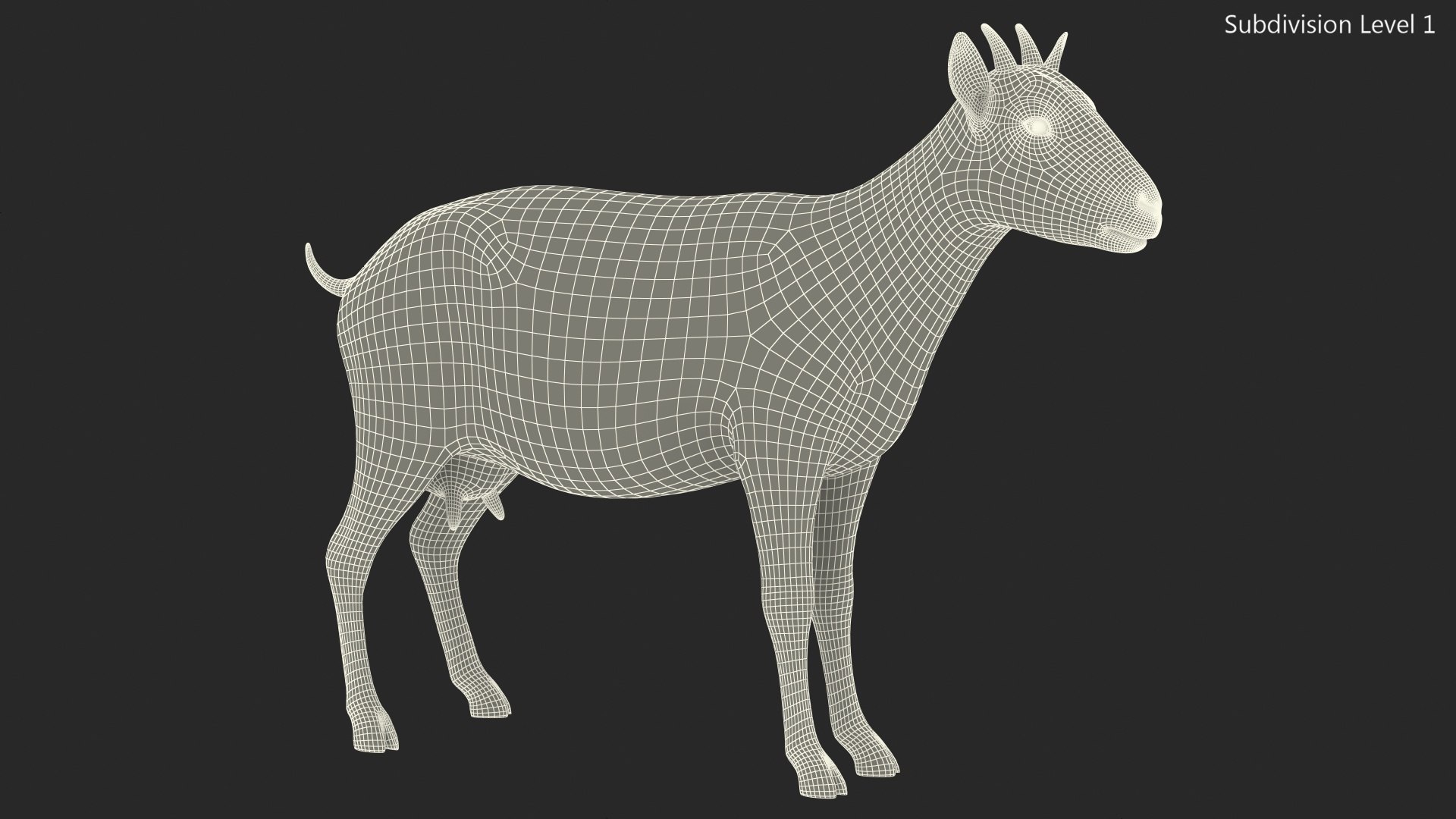 3D model Goat Saanen Breed Rigged for Modo https://p.turbosquid.com/ts-thumb/N0/DyjtUk/bI/goatsaanenbreedriggedformodovray3dmodel019/jpg/1672276656/1920x1080/fit_q87/cc6888694e285b1c0d394db65093b831c2acead6/goatsaanenbreedriggedformodovray3dmodel019.jpg