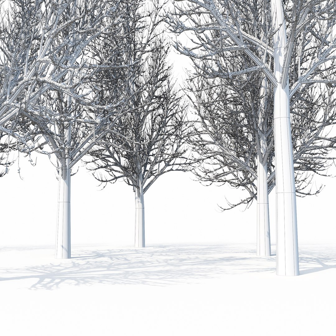 3D Winter Tree 019 - TurboSquid 1230770