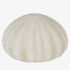 3D Shell Green Remastered