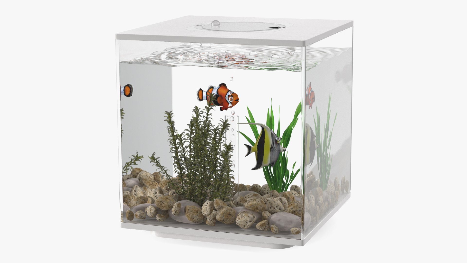 Fish Tank White Cube 3D model preview