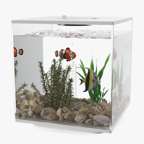 Fish Tank White Cube 3D