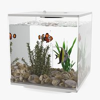 Fish Tank White Cube