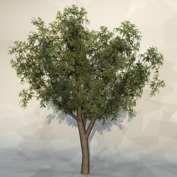 maya pc tree