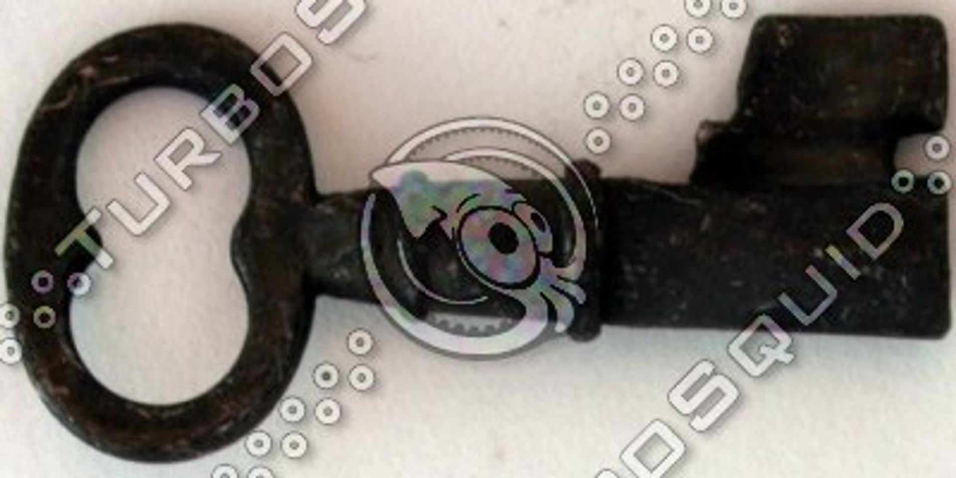 3dsmax skeleton key https://p.turbosquid.com/ts-thumb/N1/ByHcAk/uFG3MGjZ/3dsmaxskeletonkey_600/jpg/1146467953/1920x1080/fit_q87/28516f864bedc742701c5cbc393d1c795bd0b03f/3dsmaxskeletonkey_600.jpg