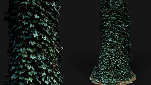 tree trunk ivy growth PBR photogrammetry