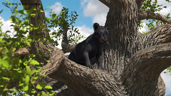 modelo 3d Cachorro de pantera negra en un árbol antiguo y retorcido ...