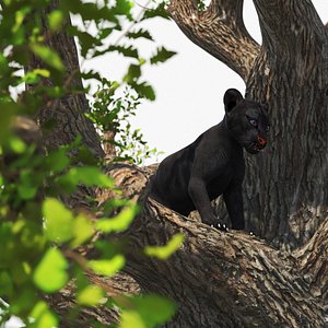 Black Panther Cub on Ancient Twisted Tree 3D model