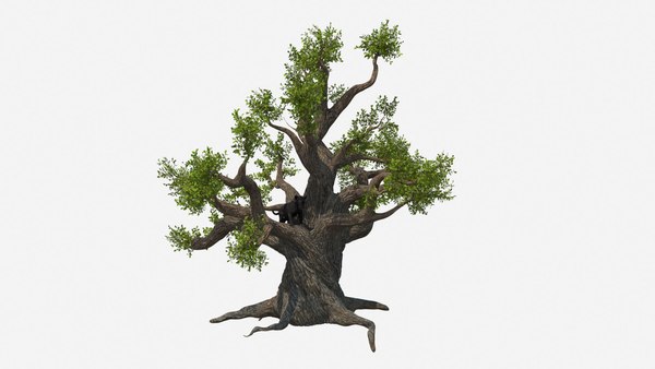 modelo 3d Cachorro de pantera negra en un árbol antiguo y retorcido ...