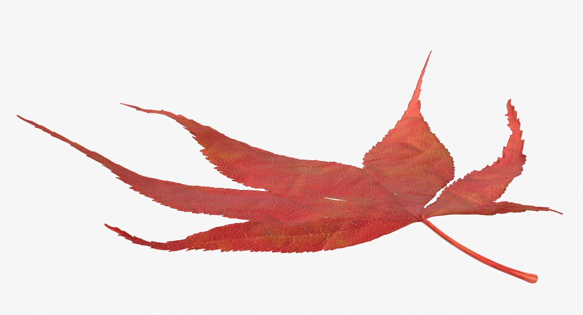 3D Prop Autumn Leaves Type 08 model https://p.turbosquid.com/ts-thumb/N1/FsoYLh/1H/prop_autumn_leaves_type_08_thumbnail_0007/jpg/1699862420/1920x1080/fit_q87/87d8626e2adc802be81429ddb79f61c8bb14accf/prop_autumn_leaves_type_08_thumbnail_0007.jpg