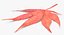Requisite Herbstlaub Typ 08