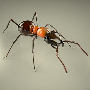 Free Ant 3D Models for Download