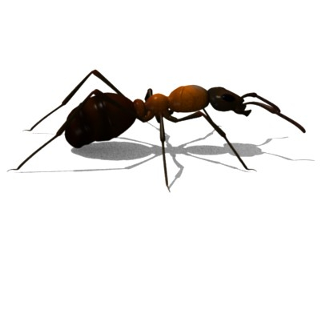 3d model formica rufa ant