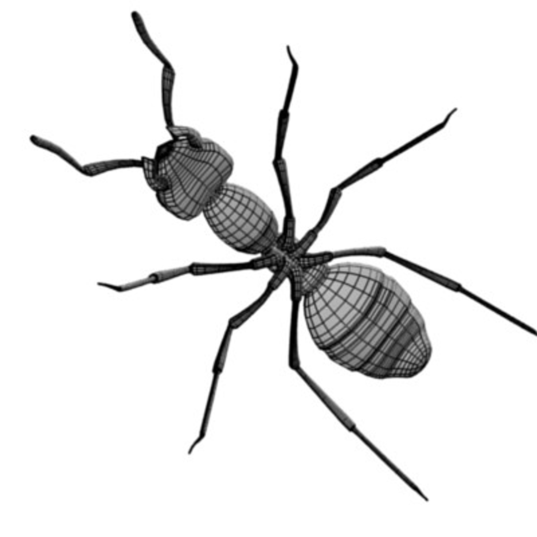 3d model formica rufa ant