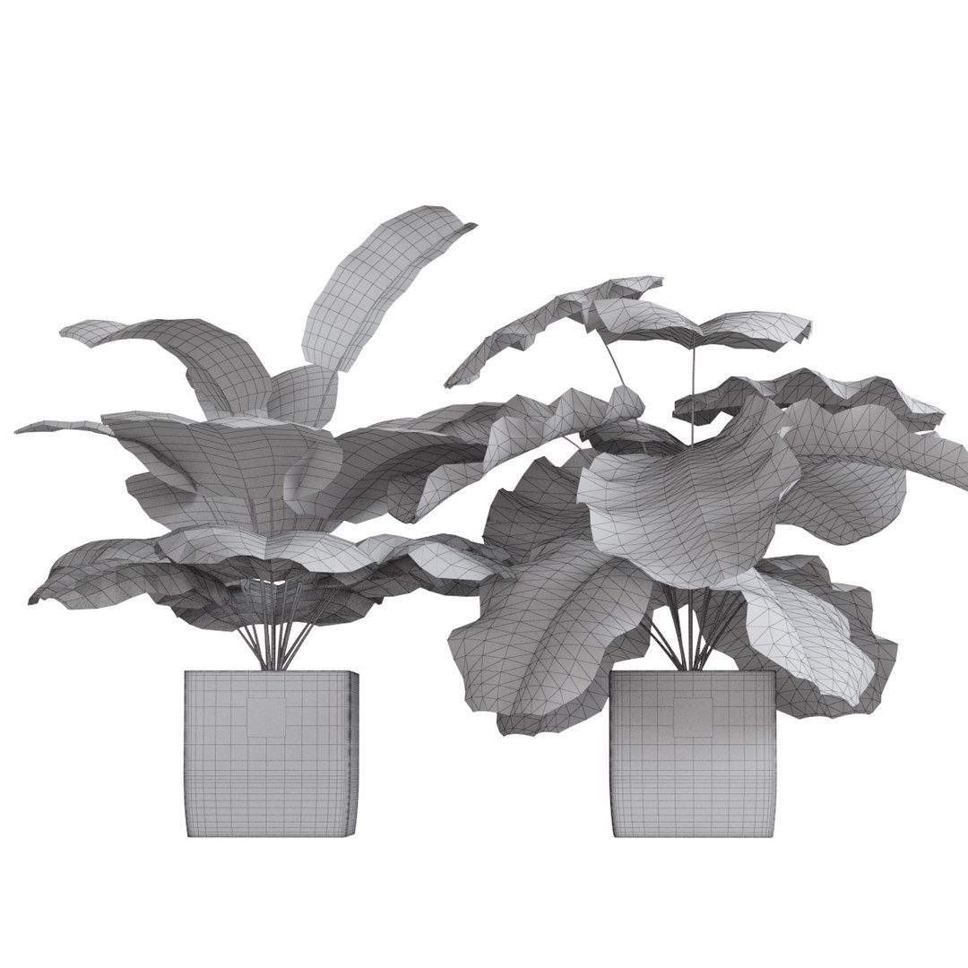 plants 1 3D https://p.turbosquid.com/ts-thumb/N1/ILWXo4/0ZsOrSiK/06/jpg/1554728764/1920x1080/fit_q87/9ae9926fd3ab827bbea3f7937b2c50848550bead/06.jpg