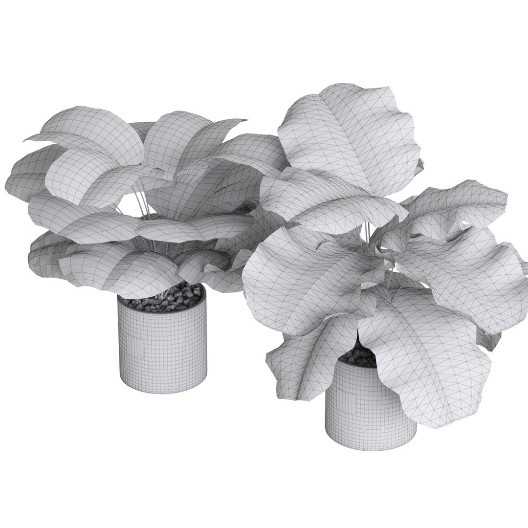 plants 1 3D https://p.turbosquid.com/ts-thumb/N1/ILWXo4/ByiVnPpt/04/jpg/1554728641/1920x1080/fit_q87/cca3365cf32b96324997af016b6fba8196d732df/04.jpg