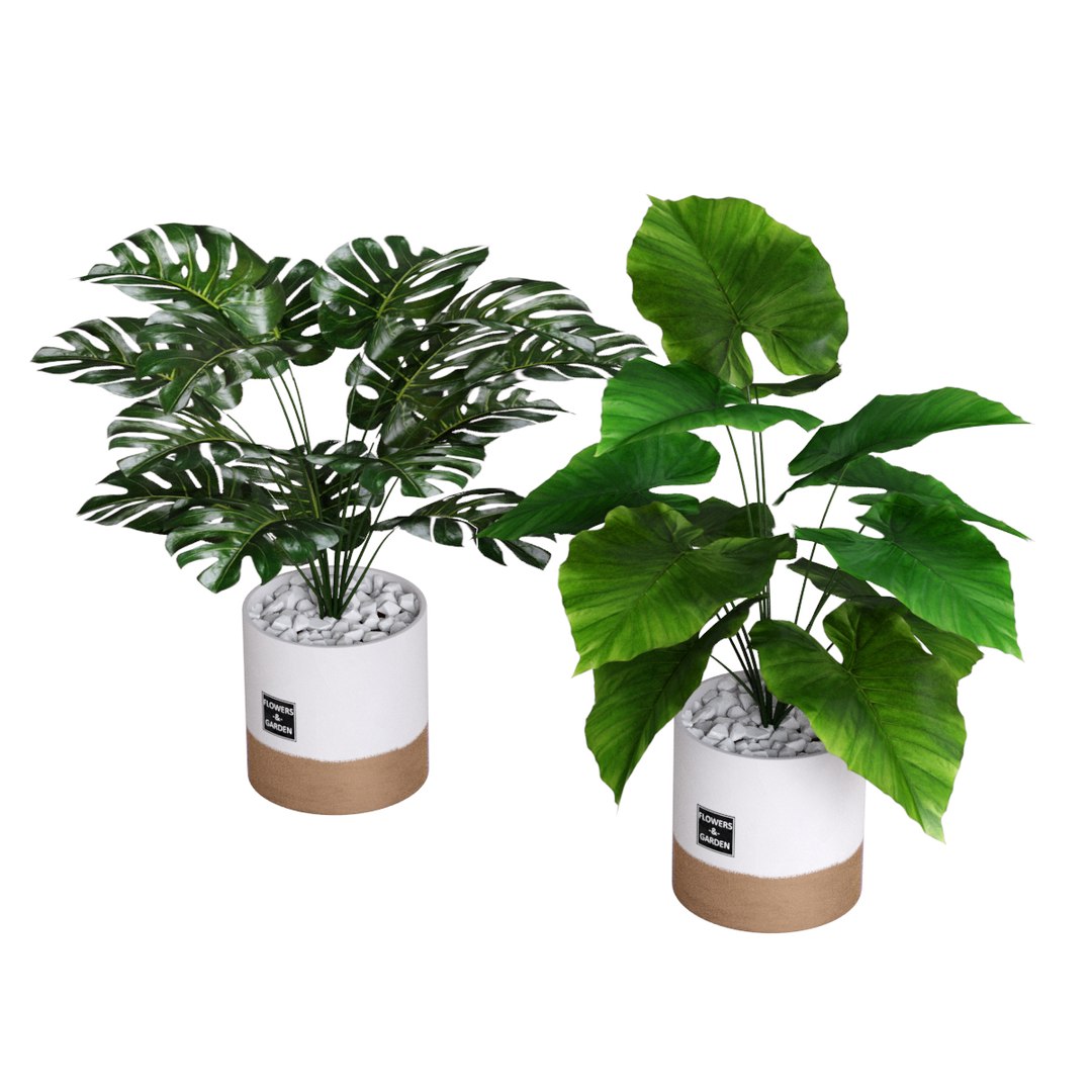 plants 1 3D https://p.turbosquid.com/ts-thumb/N1/ILWXo4/tbQ7E5XK/03/jpg/1554728598/1920x1080/fit_q87/4b54d721ae8b63d294cd1ea416b04e1d6c5a731a/03.jpg