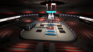 UFC ARENA