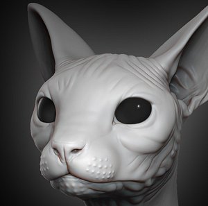 3D sphynx cat head 2019 model