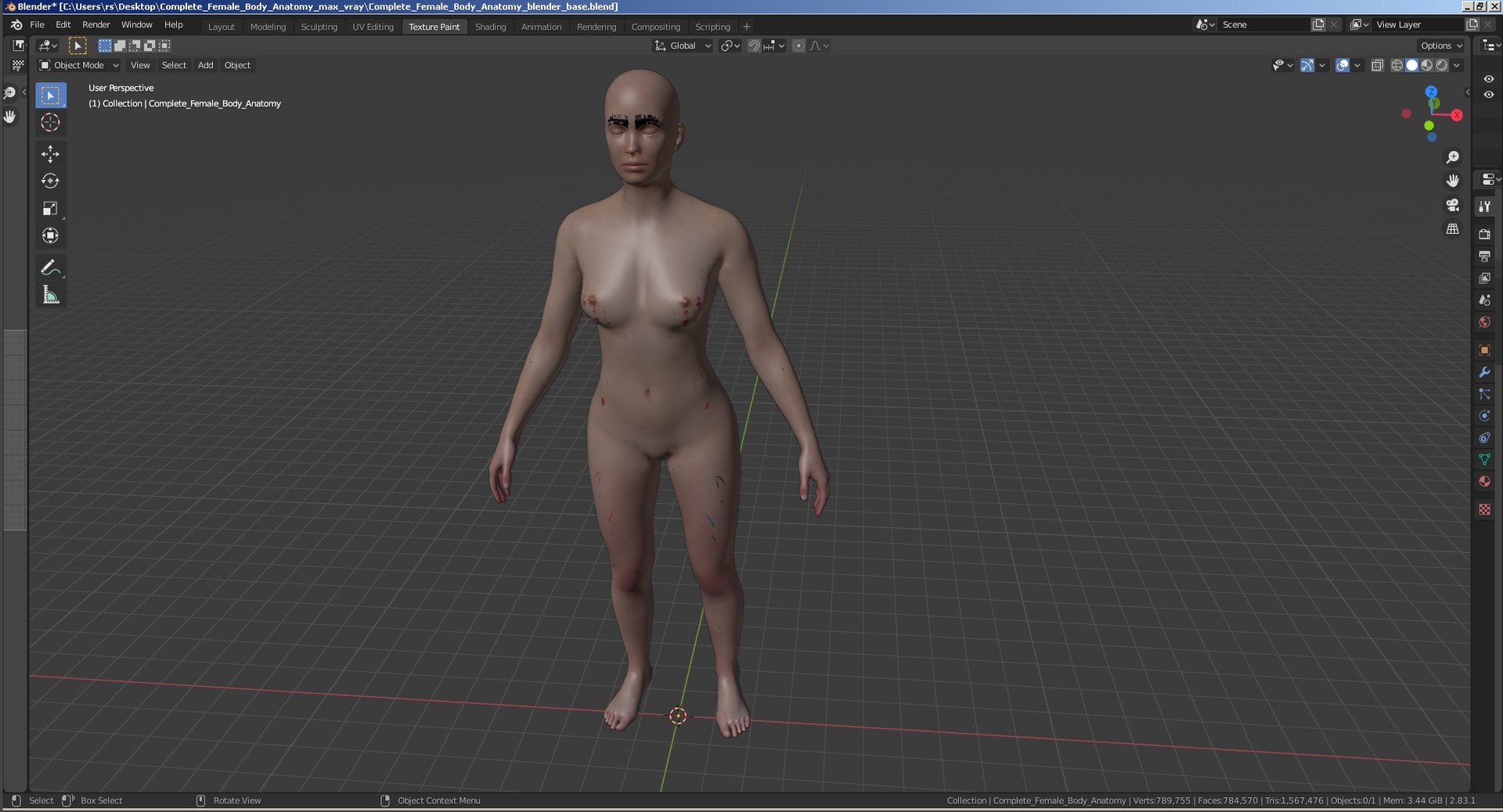 complete female body anatomy skin 3D model https://p.turbosquid.com/ts-thumb/N1/Ou5Ovc/Dok30fCc/completefemalebodyanatomy3dsmodel105/jpg/1598301330/1920x1080/fit_q87/2b77346d62d743be6caa571a265ed03894100f75/completefemalebodyanatomy3dsmodel105.jpg