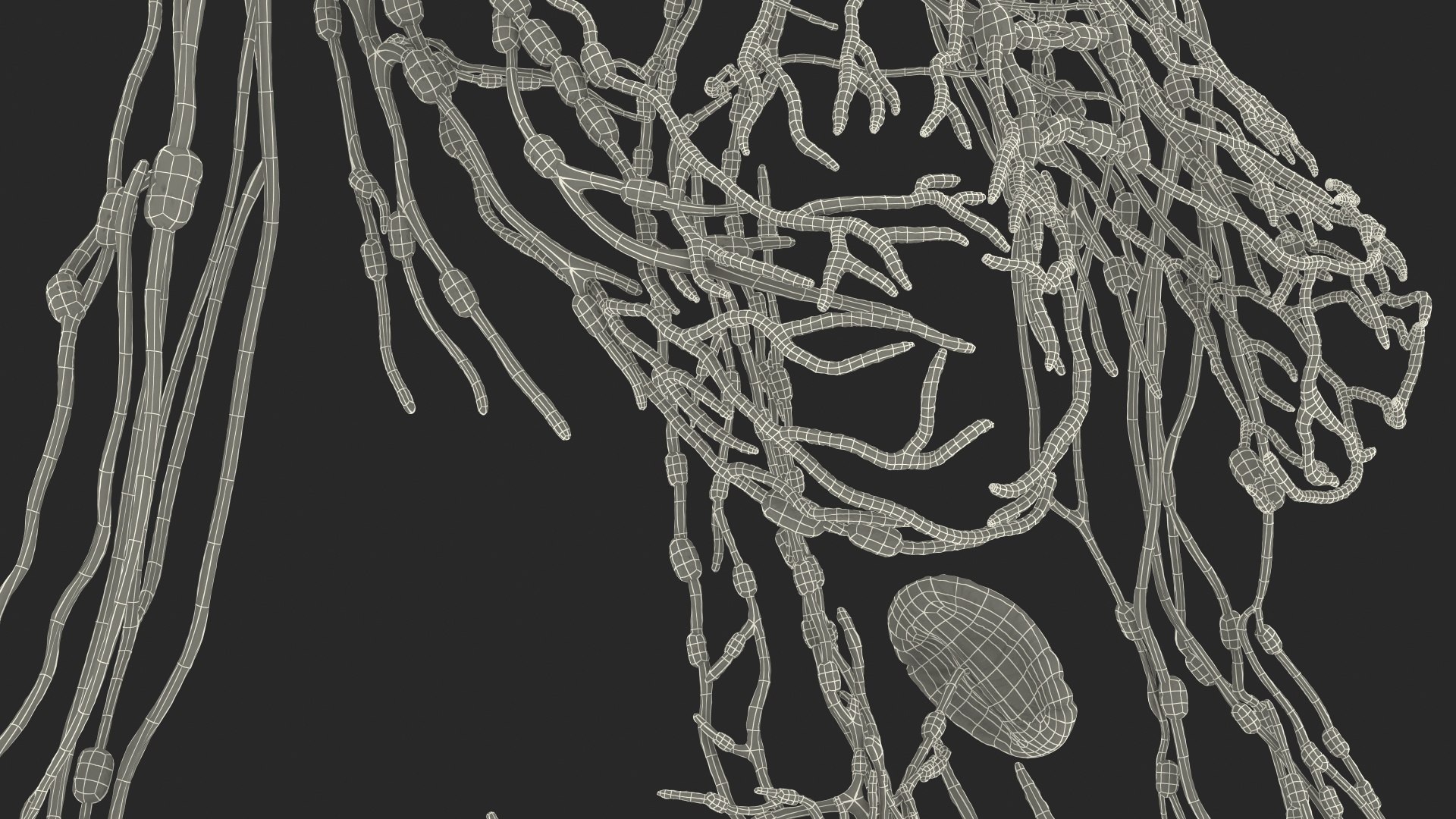 complete female body anatomy skin 3D model https://p.turbosquid.com/ts-thumb/N1/Ou5Ovc/QsZQgfOX/completefemalebodyanatomy3dsmodel081/jpg/1598301265/1920x1080/fit_q87/830279f815ccf453e1d4ec3803f999dca4616a01/completefemalebodyanatomy3dsmodel081.jpg