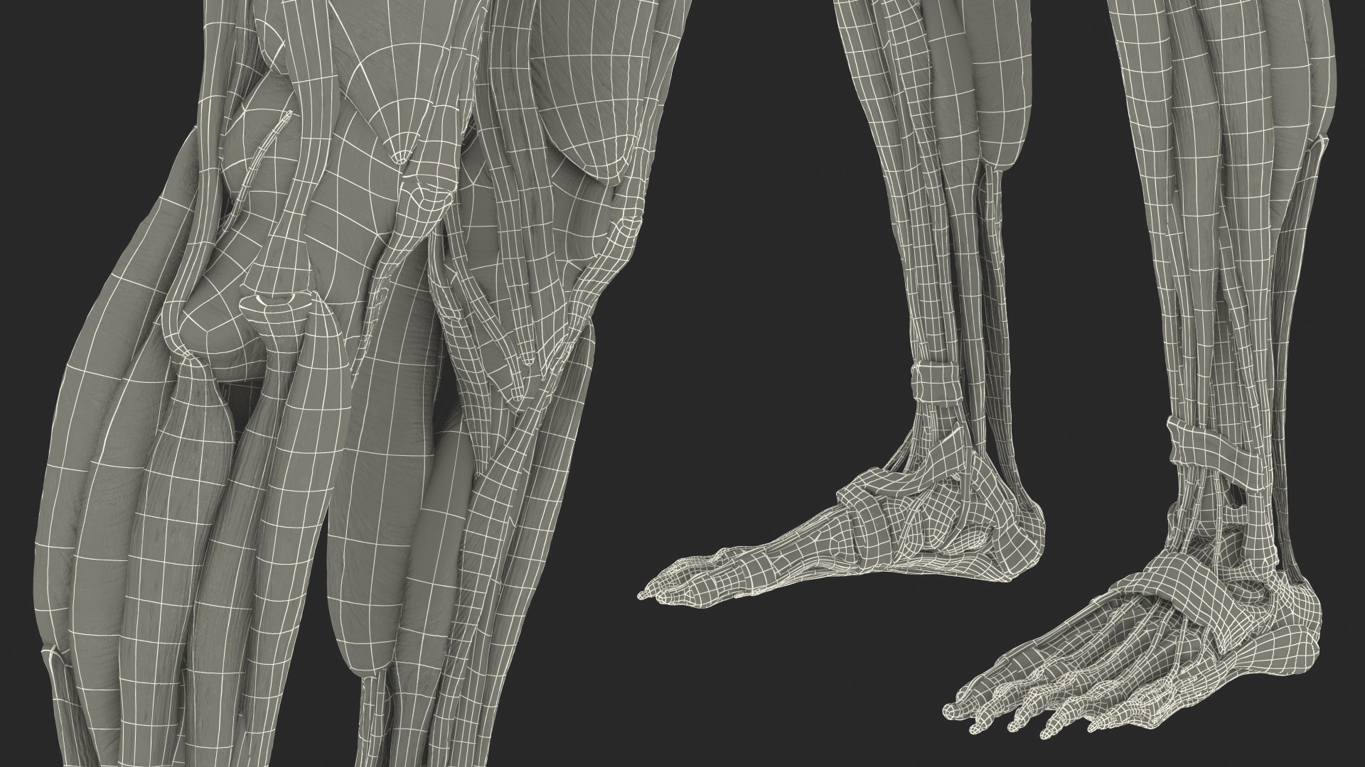 complete female body anatomy skin 3D model https://p.turbosquid.com/ts-thumb/N1/Ou5Ovc/SM6G5JcM/completefemalebodyanatomy3dsmodel079/jpg/1598301254/1920x1080/fit_q87/b3ce8c8fec09b26d735f5a4b5c910d406ba1c555/completefemalebodyanatomy3dsmodel079.jpg