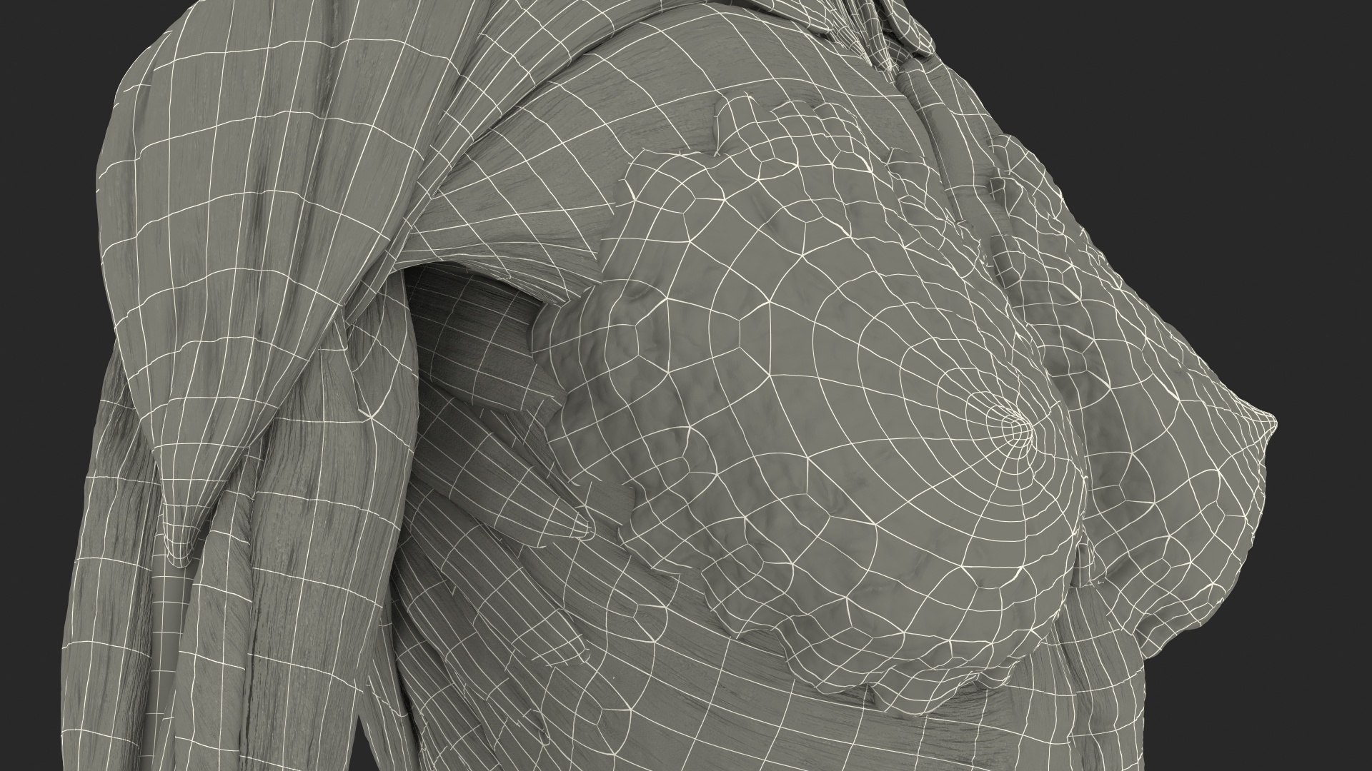complete female body anatomy skin 3D model https://p.turbosquid.com/ts-thumb/N1/Ou5Ovc/bhnMmJcm/completefemalebodyanatomy3dsmodel075/jpg/1598301231/1920x1080/fit_q87/8e0492b31de72f57fdbf29b6415d0a1dbdcc0173/completefemalebodyanatomy3dsmodel075.jpg