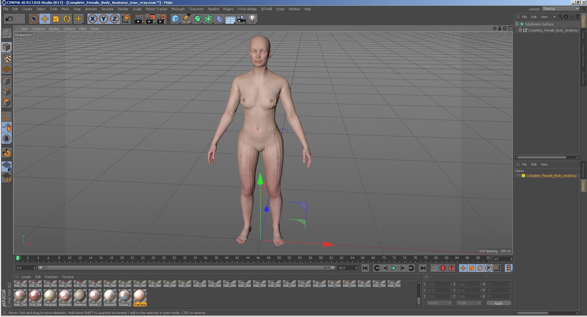 complete female body anatomy skin 3D model https://p.turbosquid.com/ts-thumb/N1/Ou5Ovc/byPcepBw/completefemalebodyanatomy3dsmodel106/jpg/1598301341/1920x1080/fit_q87/3606601555fab3dc36f6004b74a34086363c402a/completefemalebodyanatomy3dsmodel106.jpg